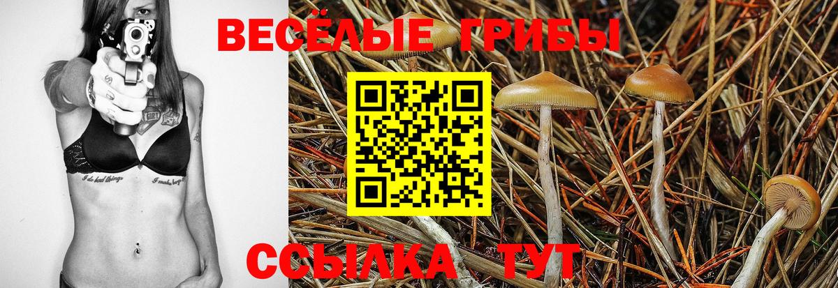 Псилоцибиновые грибы ЛСД Абакан