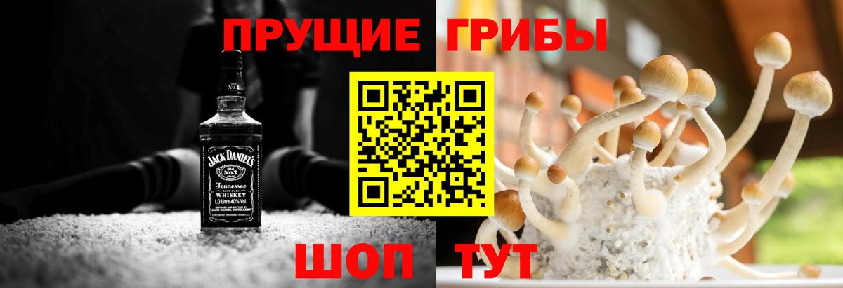 Галлюциногенные грибы GOLDEN TEACHER  Вход с VPN  Абакан  Псилоцибиновые грибы ЛСД 